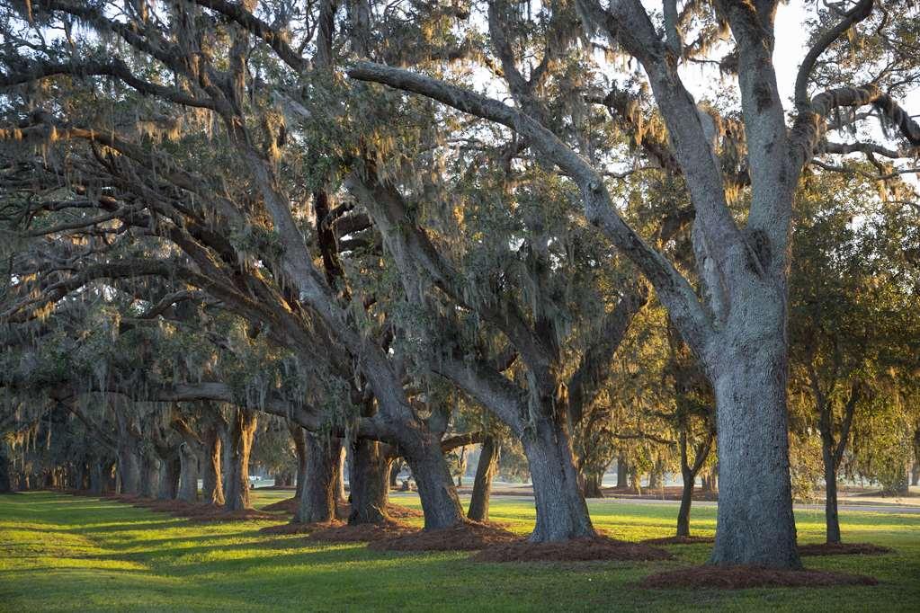 The Lodge At Sea Island St. Simons Island สิ่งอำนวยความสะดวก รูปภาพ